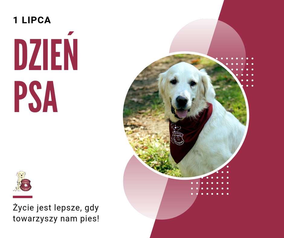 1 lipca - Dzień Psa - Fundacja Warta Goldena