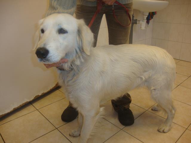 HEAVEN (Eella) za TM