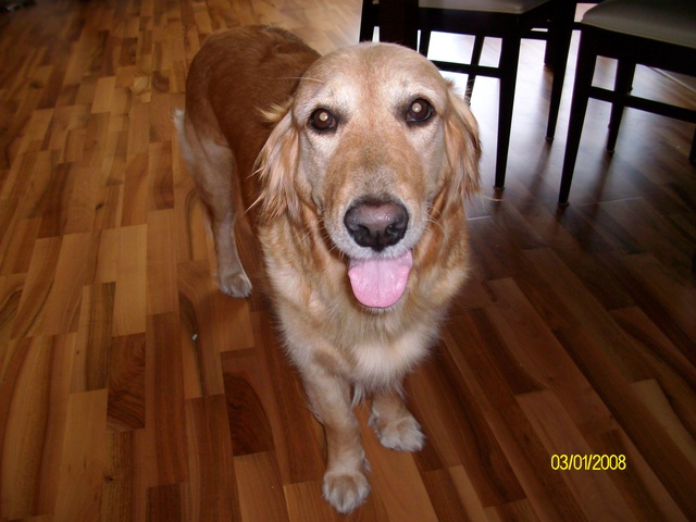 TOSIA (Rudzia) za TM