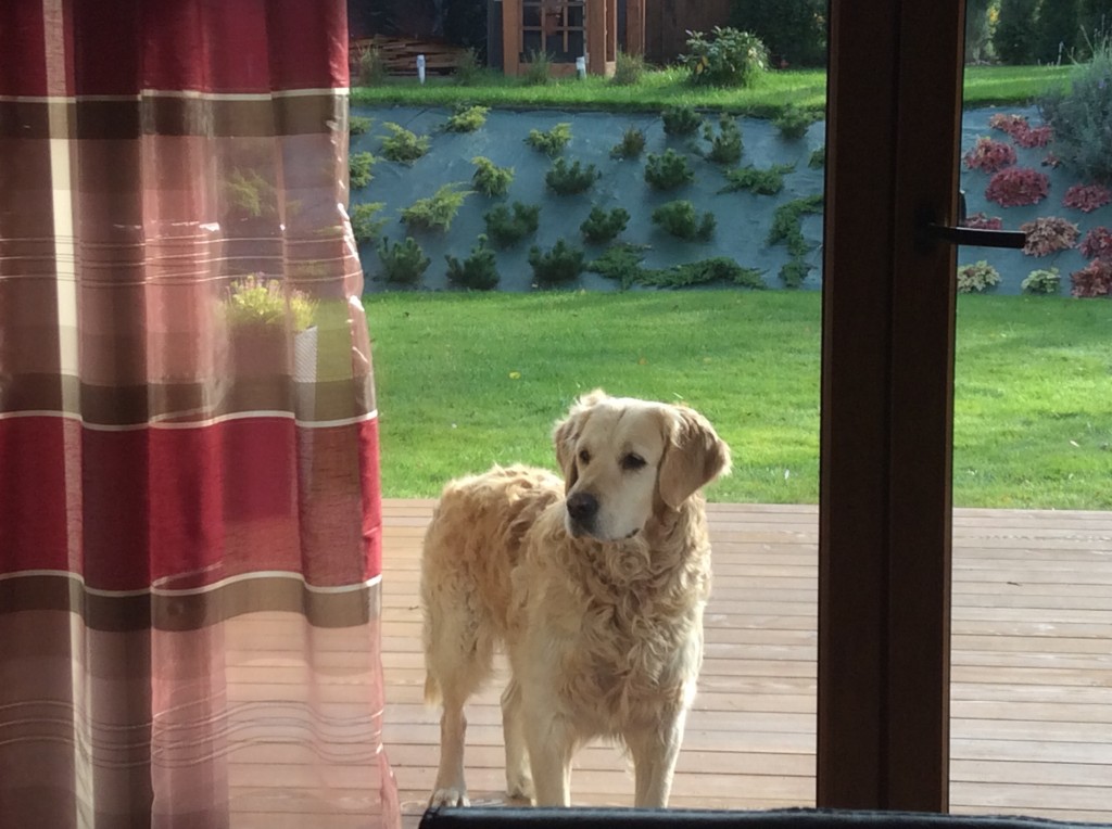 SPAJK (Skrapi) za TM