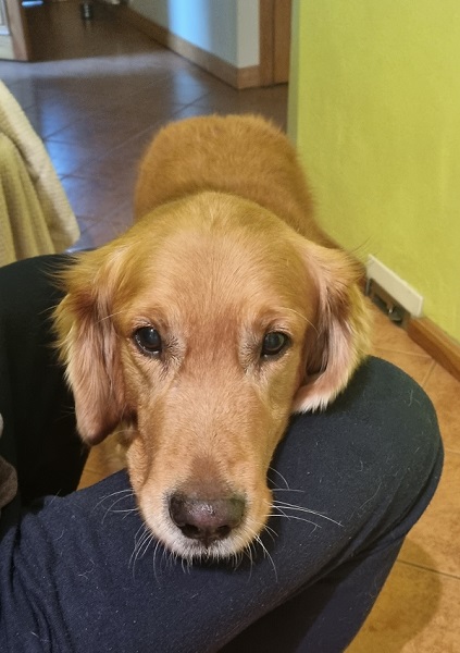 BARI (BANKSY Drops)* za TM