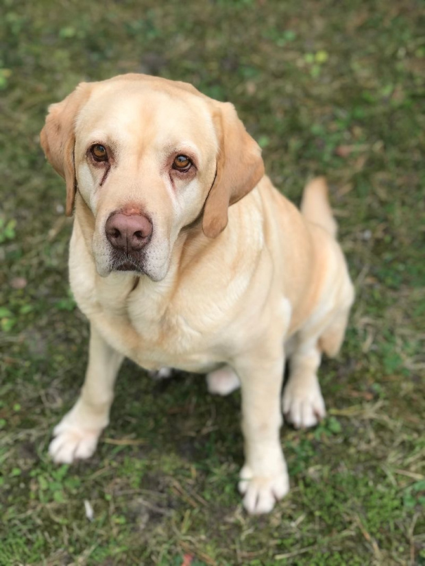 MANIEK (FELIKS) za TM