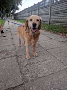 FRED (Stefan)* za TM