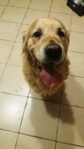 WALKER (Garden) za TM