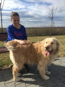 TEDDY (Ratgar) za TM