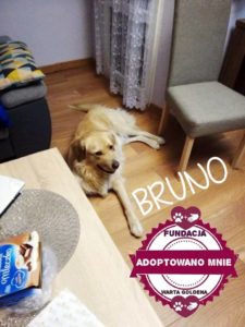 BRUNO
