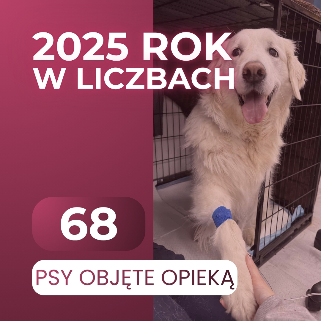 2025 ROK W LICZBACH