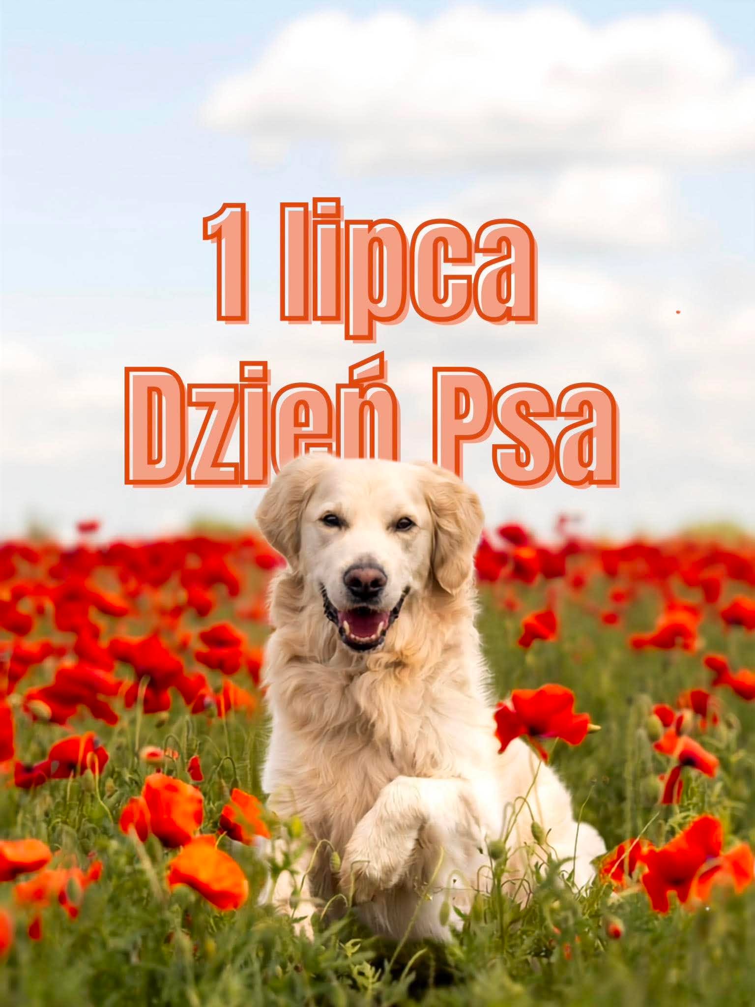 1 LIPCA – DZIEŃ PSA
