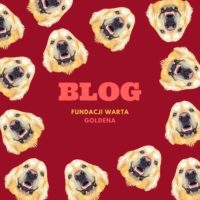 WARTA GOLDENA BLOGUJE